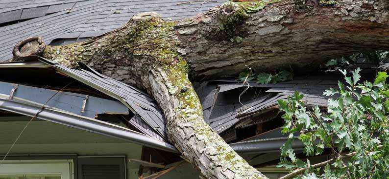 Legacy Roofing crew responding to an emergency roof repair